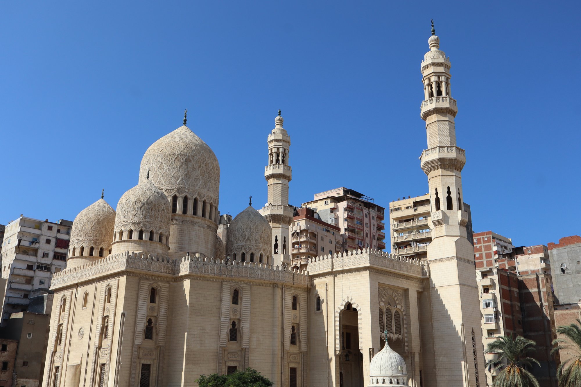 Highlight von Alexandria, Katakomben und Bibliothek