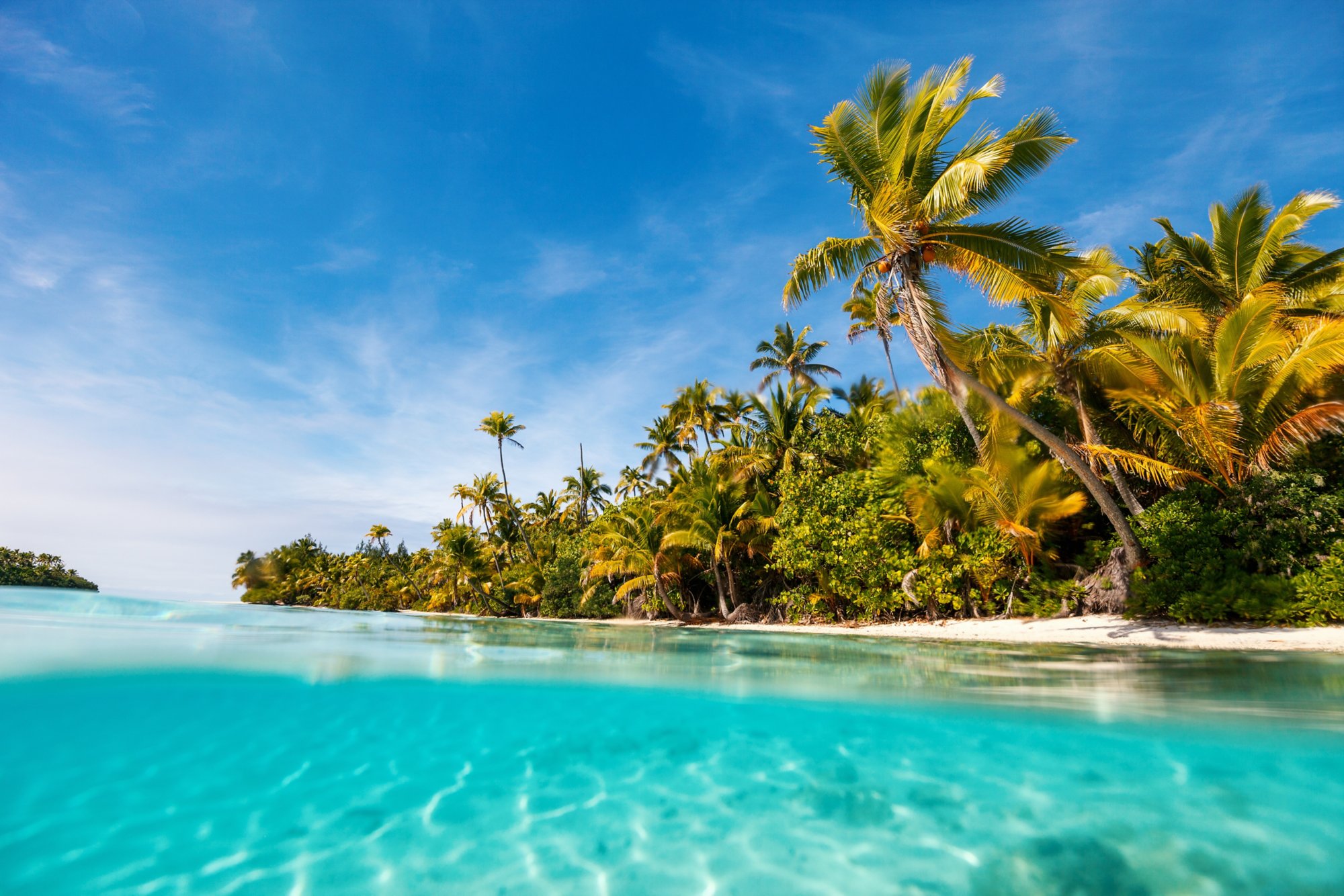 Stunning tropical island with palm trees, white sand, turquoise ocean water and blue sky at Cook Islands, South Pacific