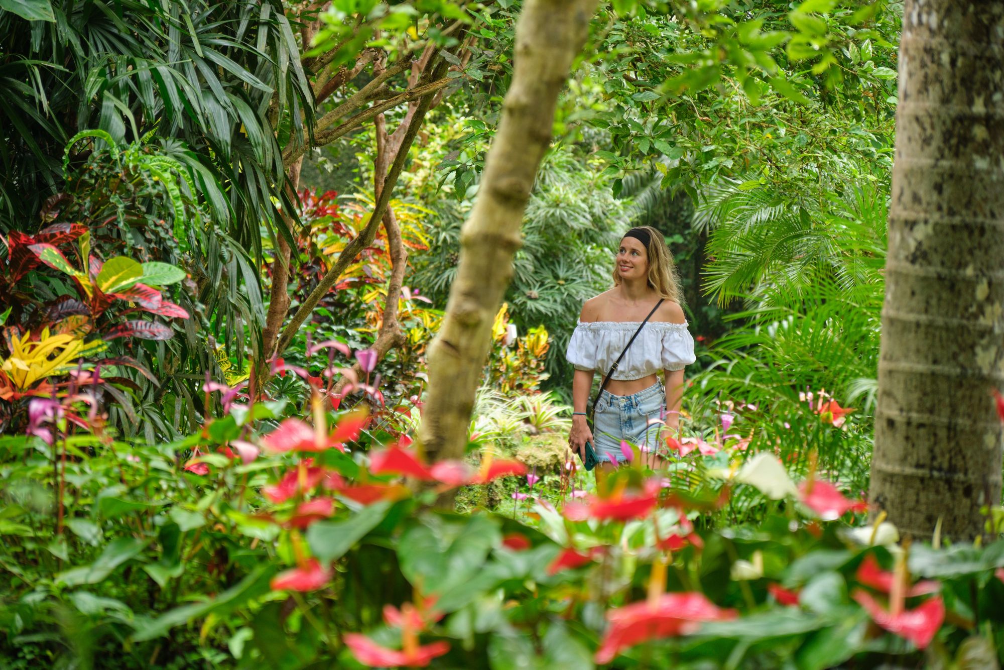 Huntes Gardens & Inselblicke voller Kontraste