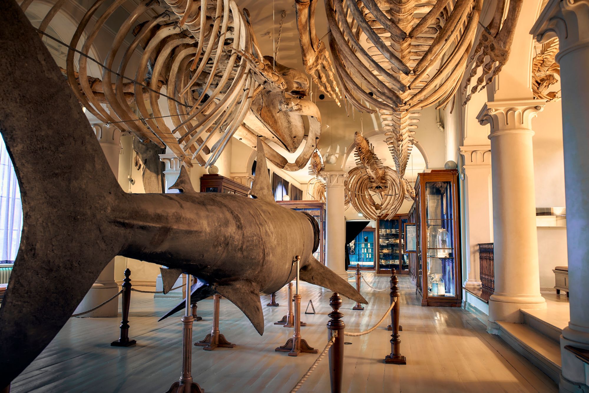 BERXCP01_NATURHISTORISK-038-10-22.JPG