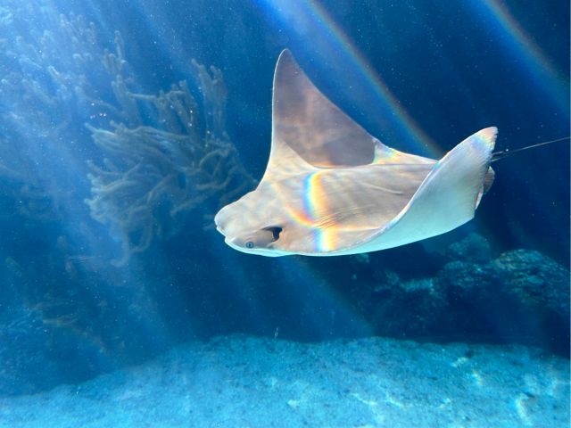 BMD03_Zoo_Rochen_MA_WI_2024_quer.jpg