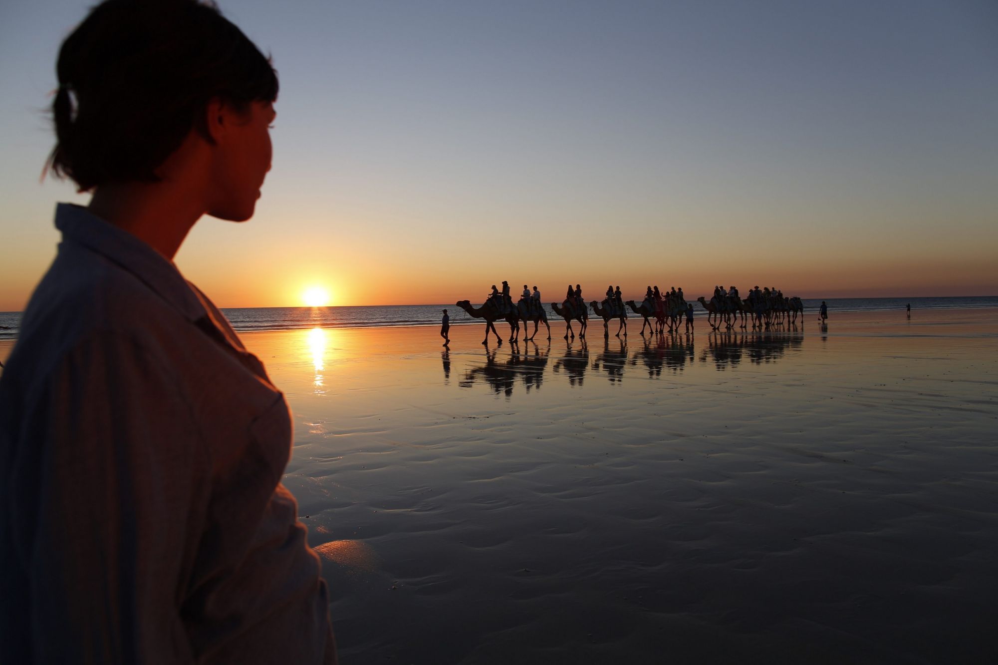 BME04_CamelTrainatSunsetCableBeach_TourismWesternAustralia_2026_quer_003.jpg