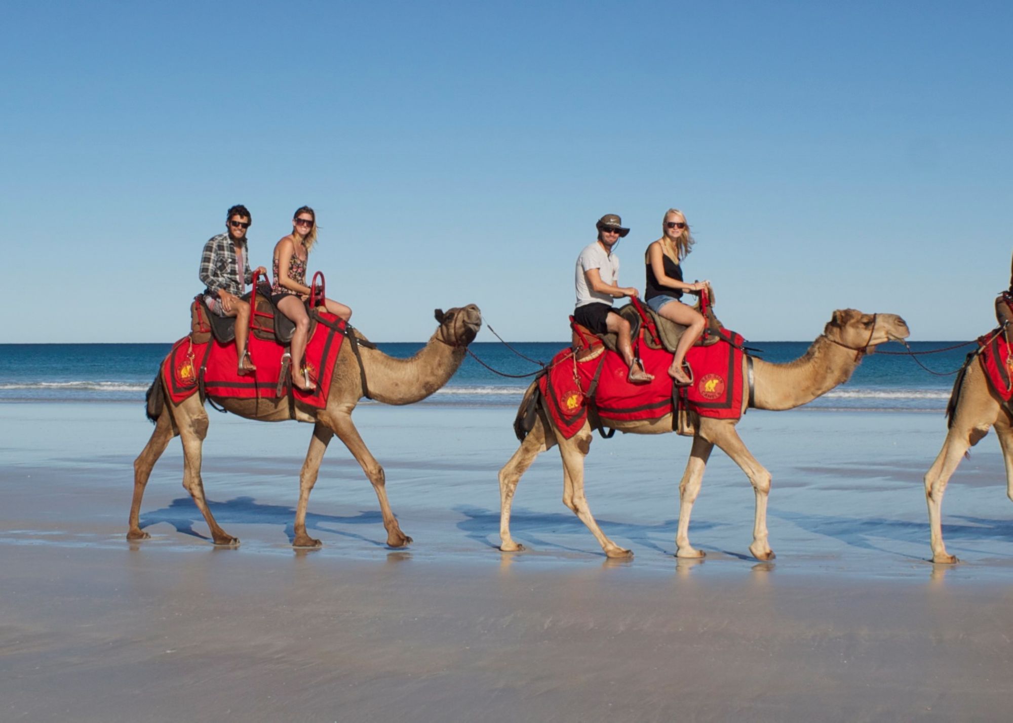 BME09_CamelRide_Bobwoodcruise_2026_quer_003.jpg