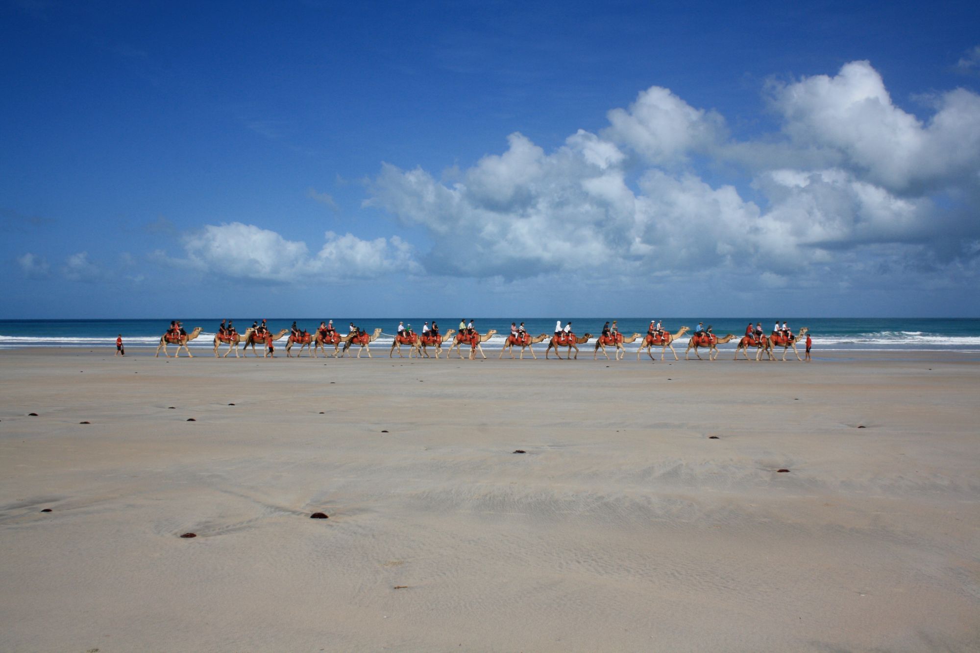 BME09_CamelridealongtheBeac_Bobwoodcruise_2026_quer_005.jpg