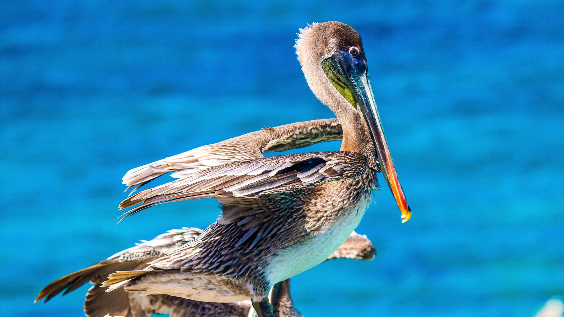 BON12_MarineParkBeachSnorkel_004.JPG