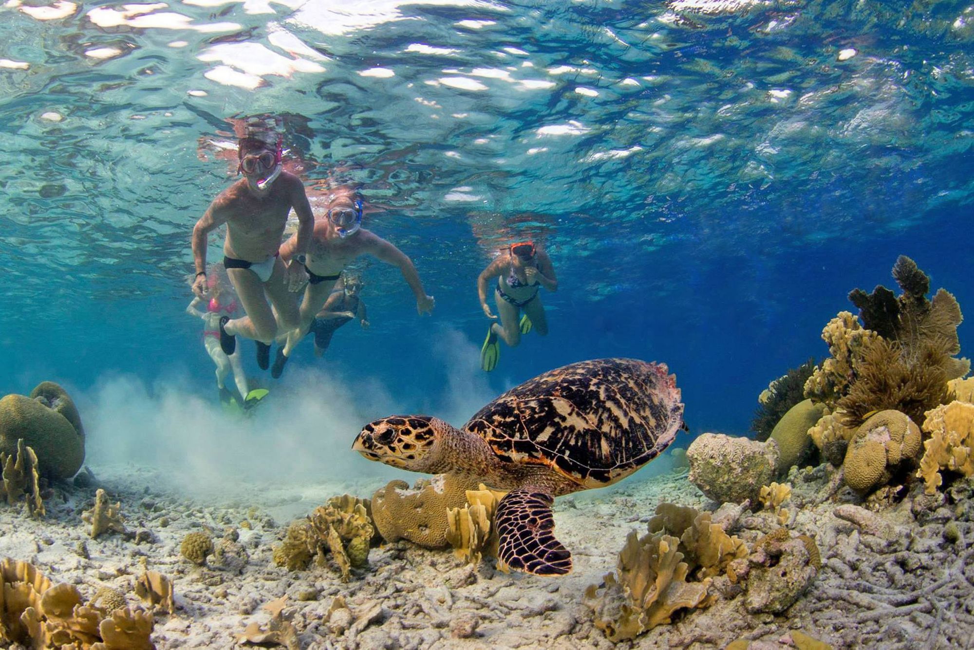 BON12_MarineParkBeachSnorkel_005.JPG
