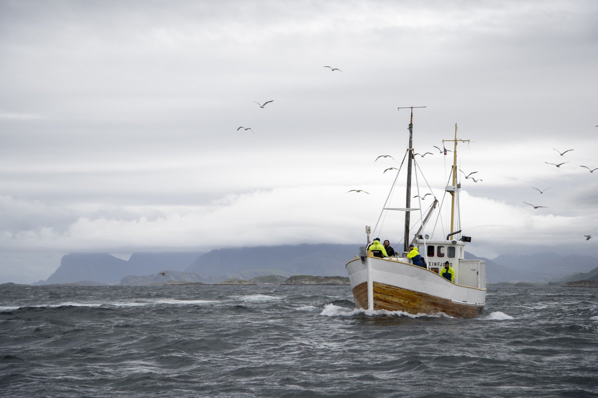 Küstenfischen vor Bodø