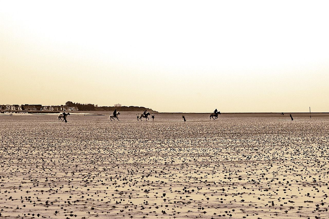 BRV07_CuxhavenStrand_VIPHansetouring_003.jpg