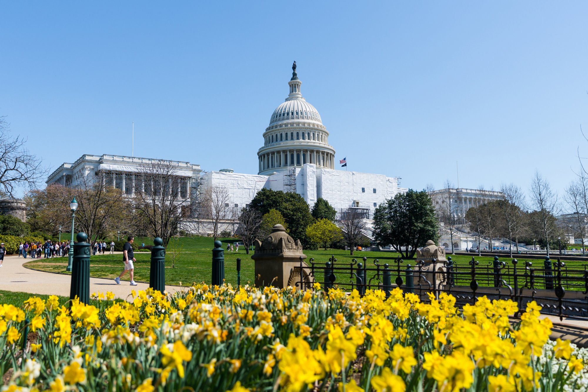 Washington D.C. entdecken: Arlington Cemetery und Capitol