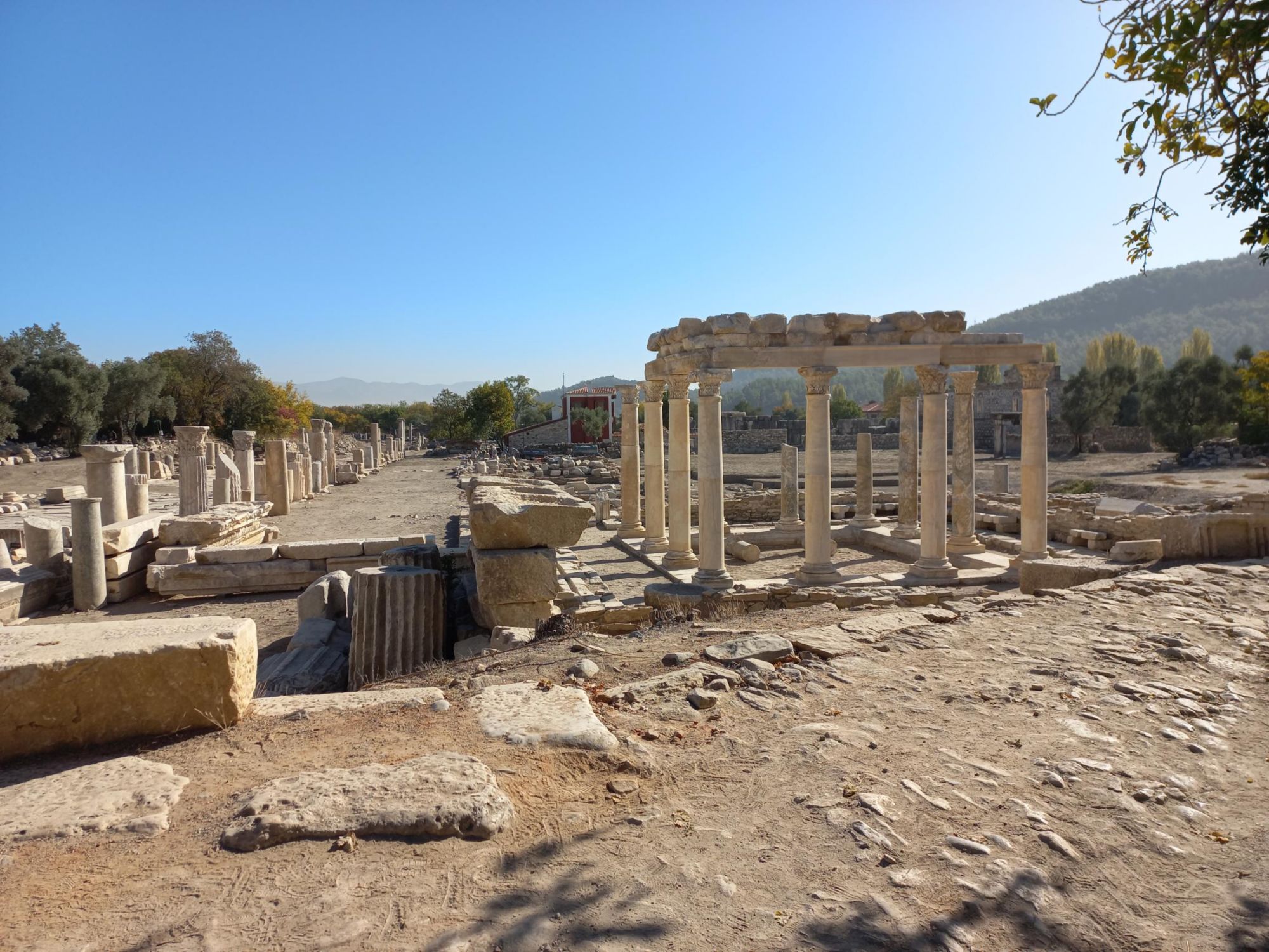 Zwischen Tempeln und Träumen