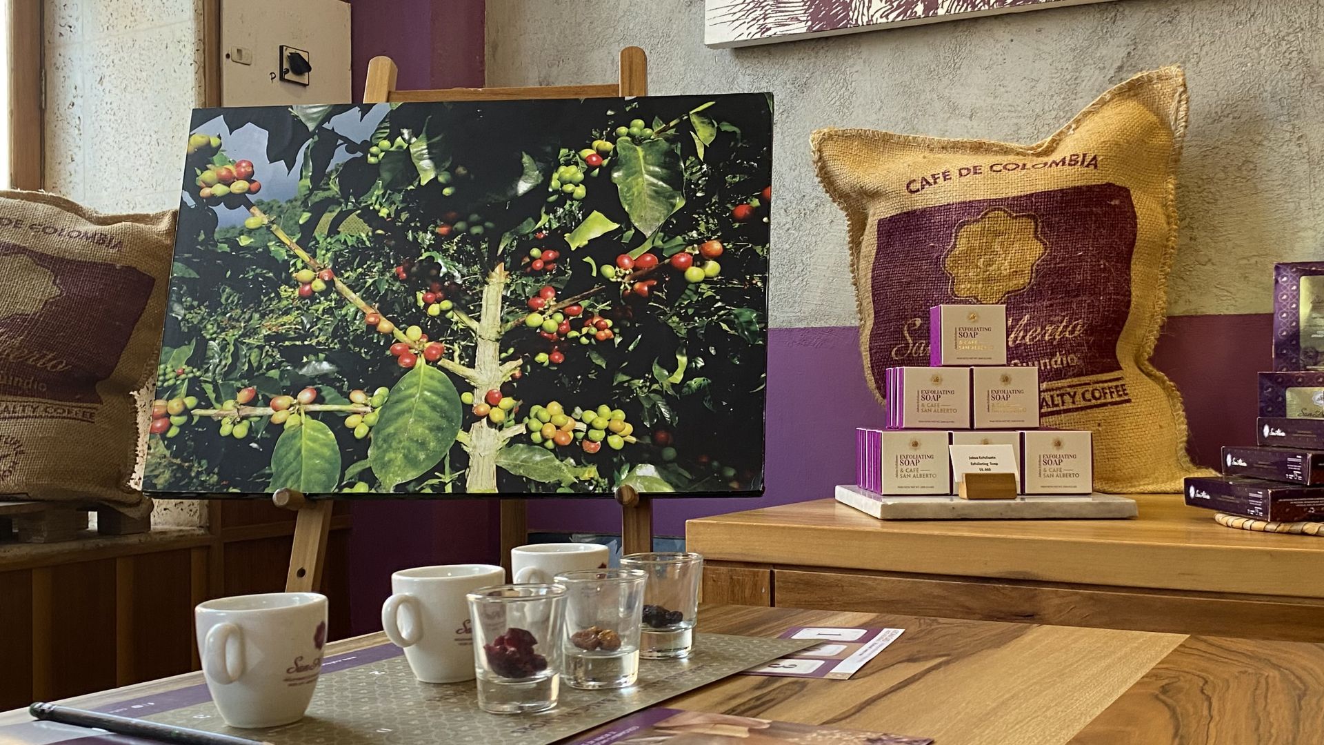 CAR18_CoffeetastingMontajecatacafe_Avia_2026_quer.jpg