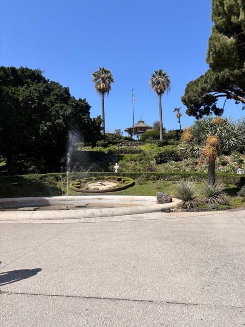 CATB13_B43_ParkBellini_202505_008.png