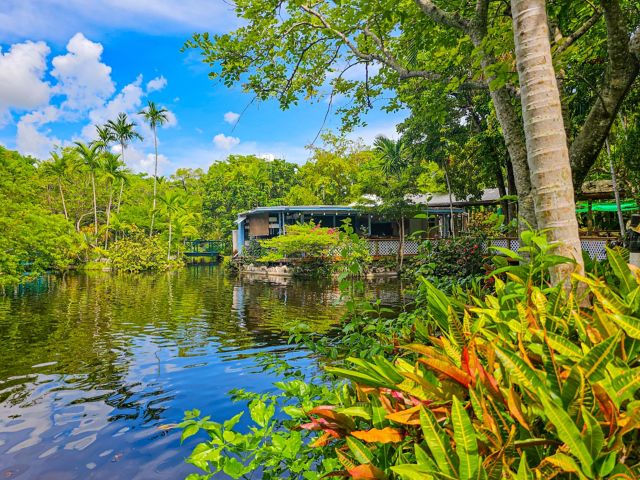 Tropische Gartenwelt der Bahamas