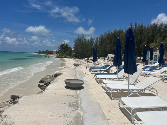 CEL22_Strand_002.jpg