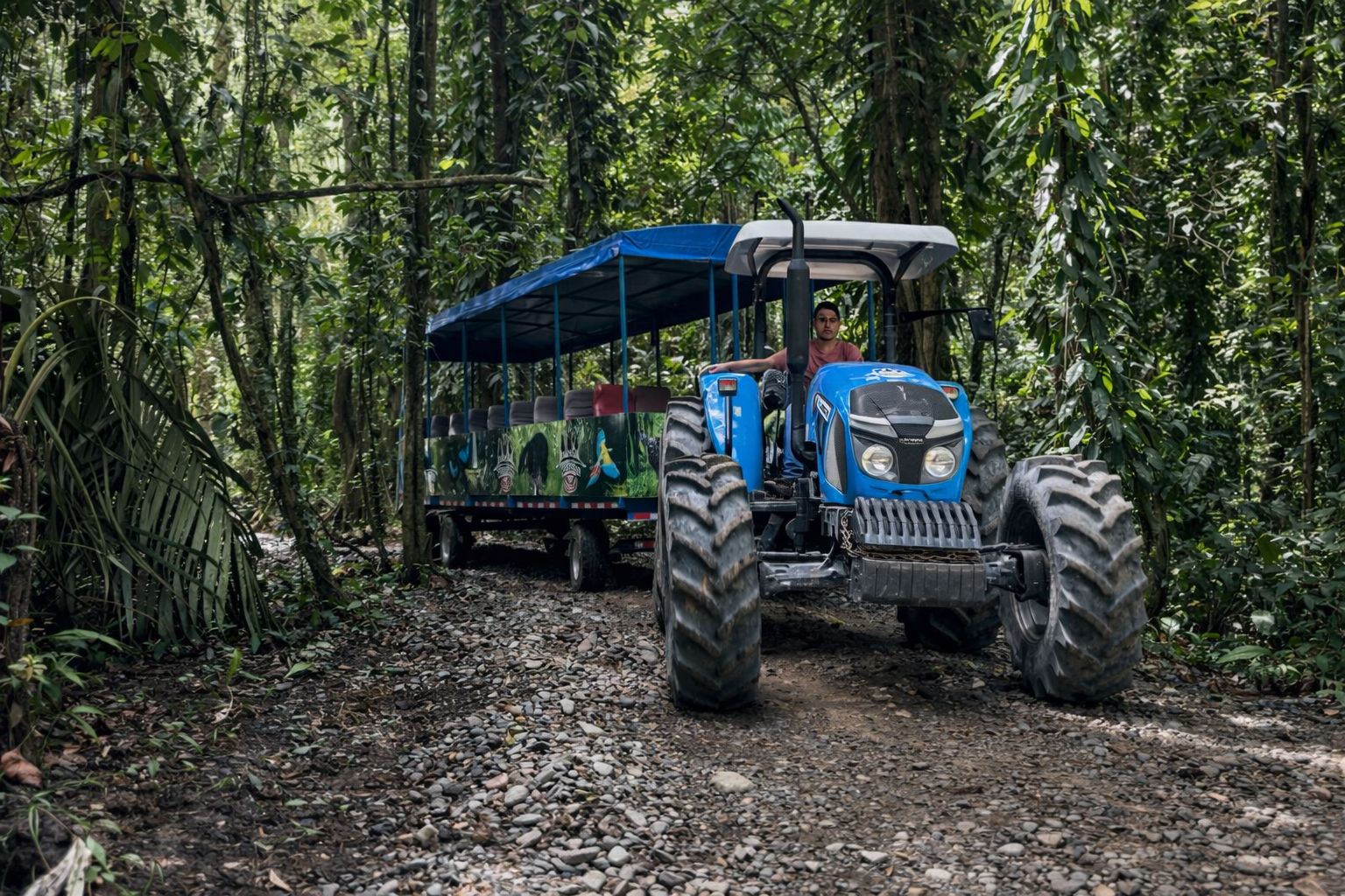 Regenwald Expedition