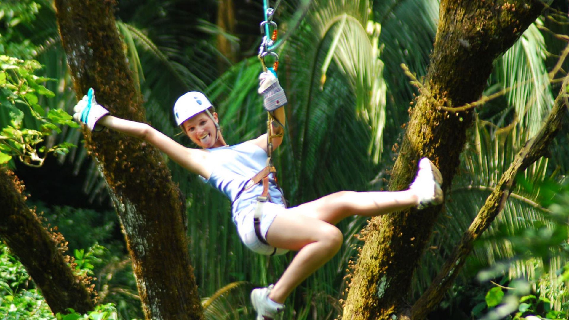 Veragua-Regenwald – Seilbahn & Zipline-Spaß