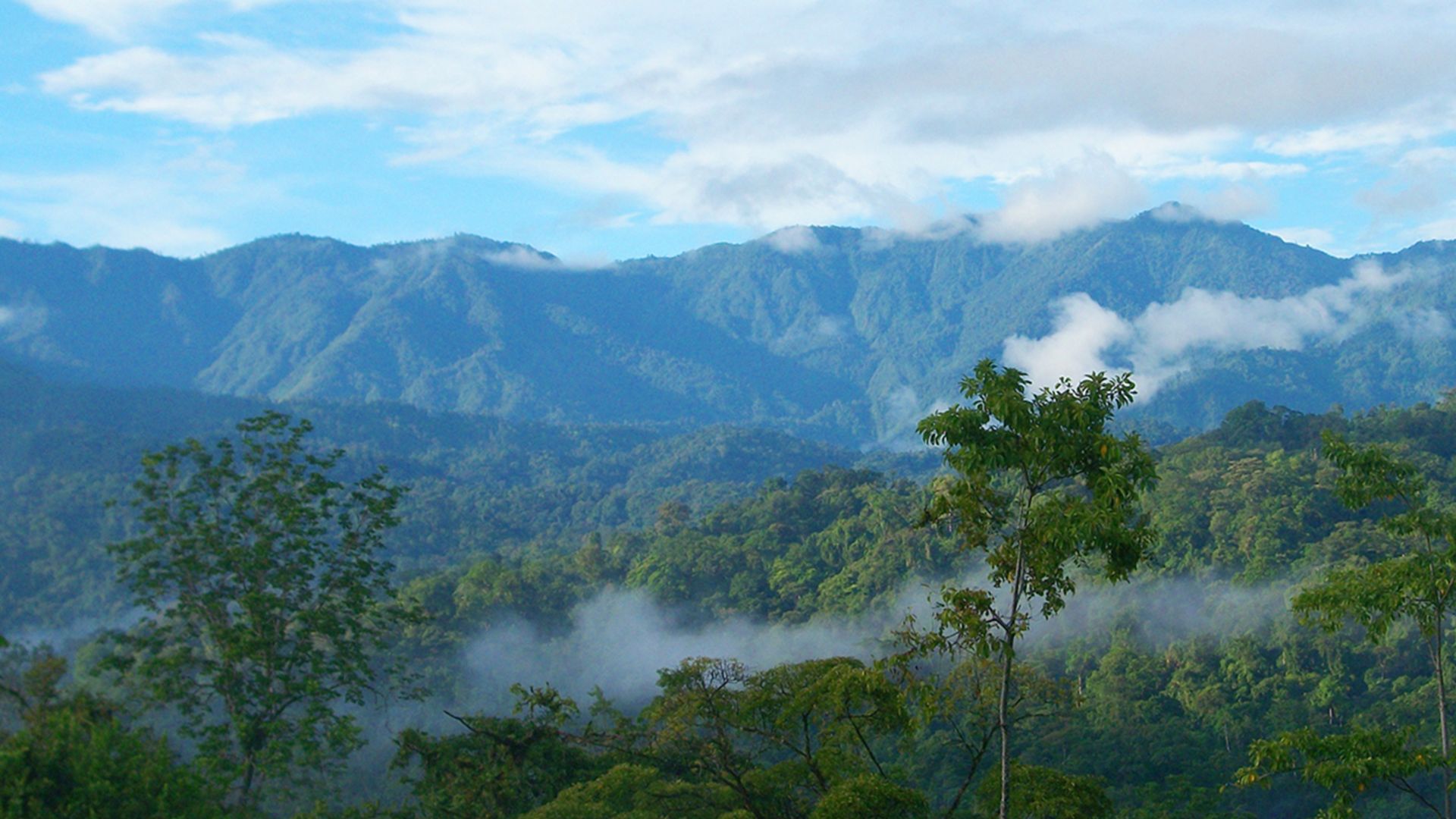 Waldwanderung im Veragua – Regenwald & Wissen