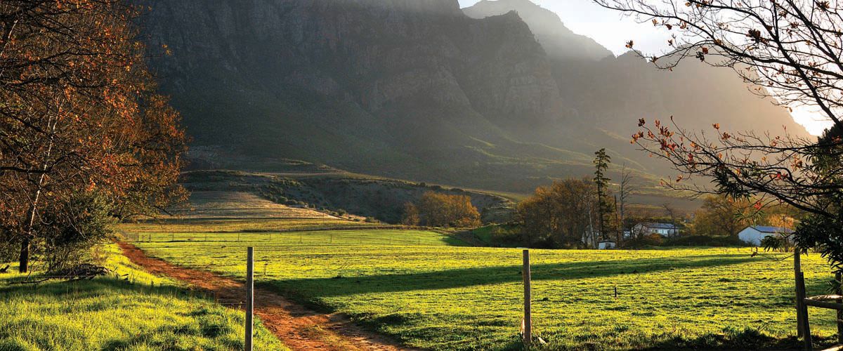 CPT39_BoschendalFarm_001.jpg