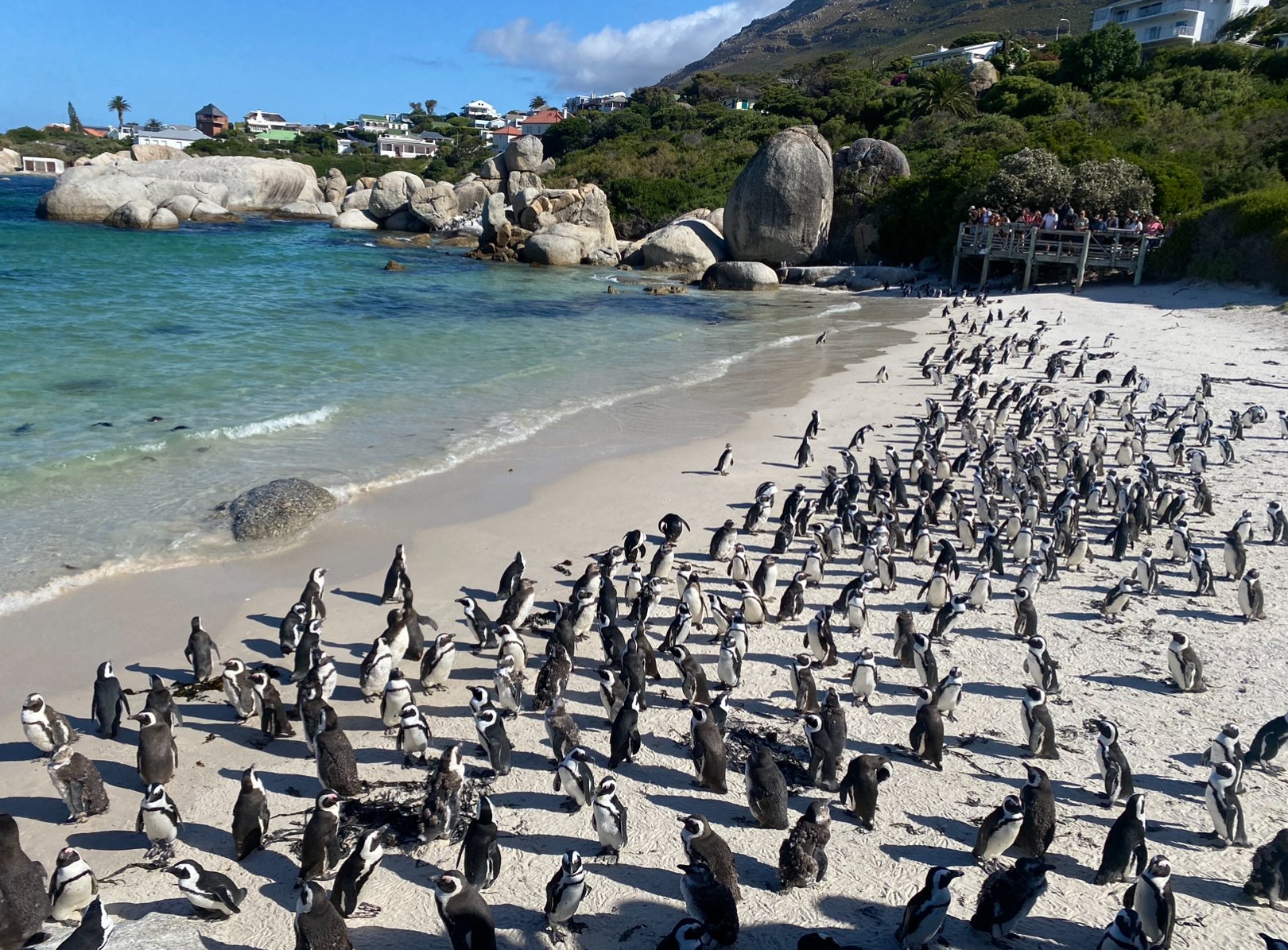 Entlang der Atlantikküste zum Kap der Guten Hoffnung