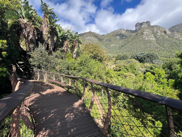Botanische Gärten von Kirstenbosch und Weingut