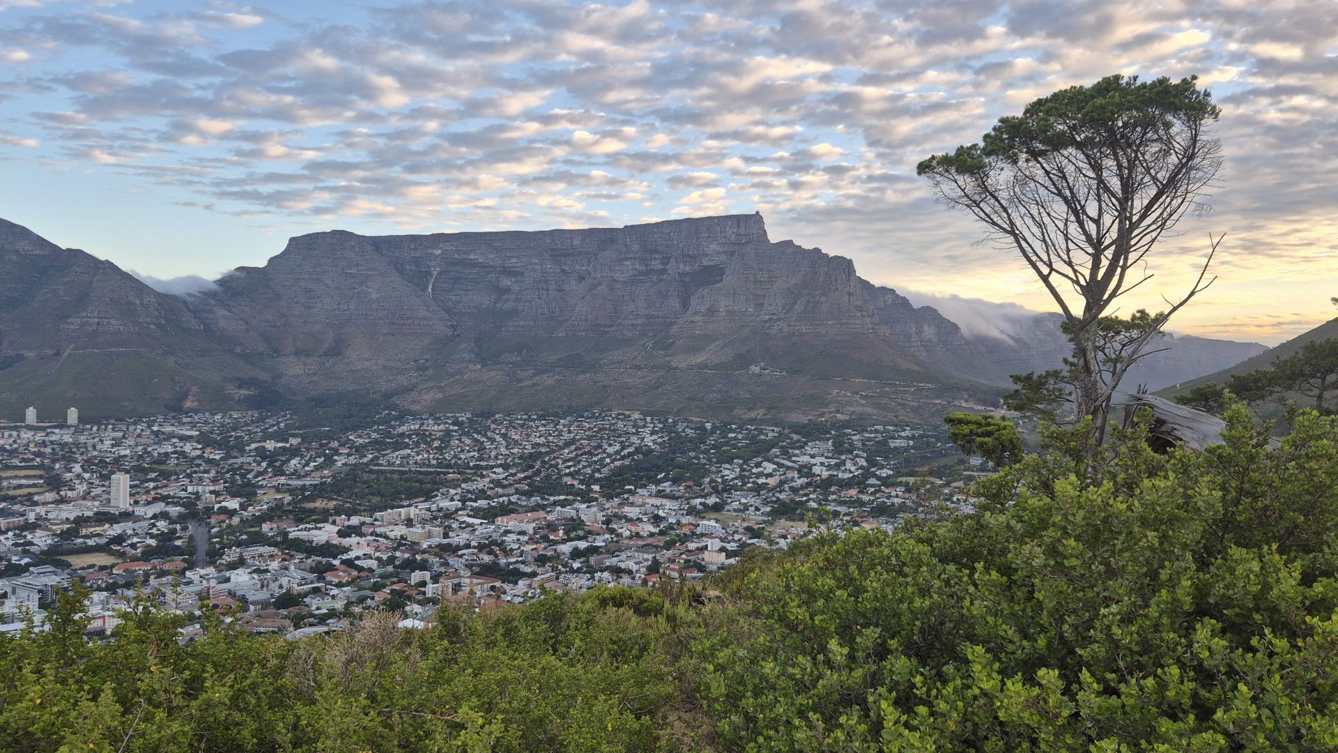 CPT