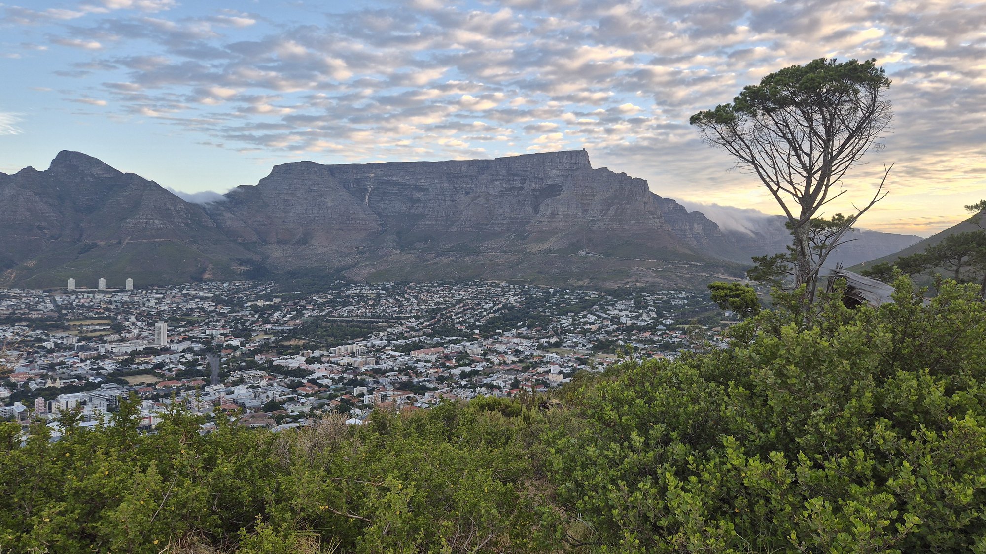CPT