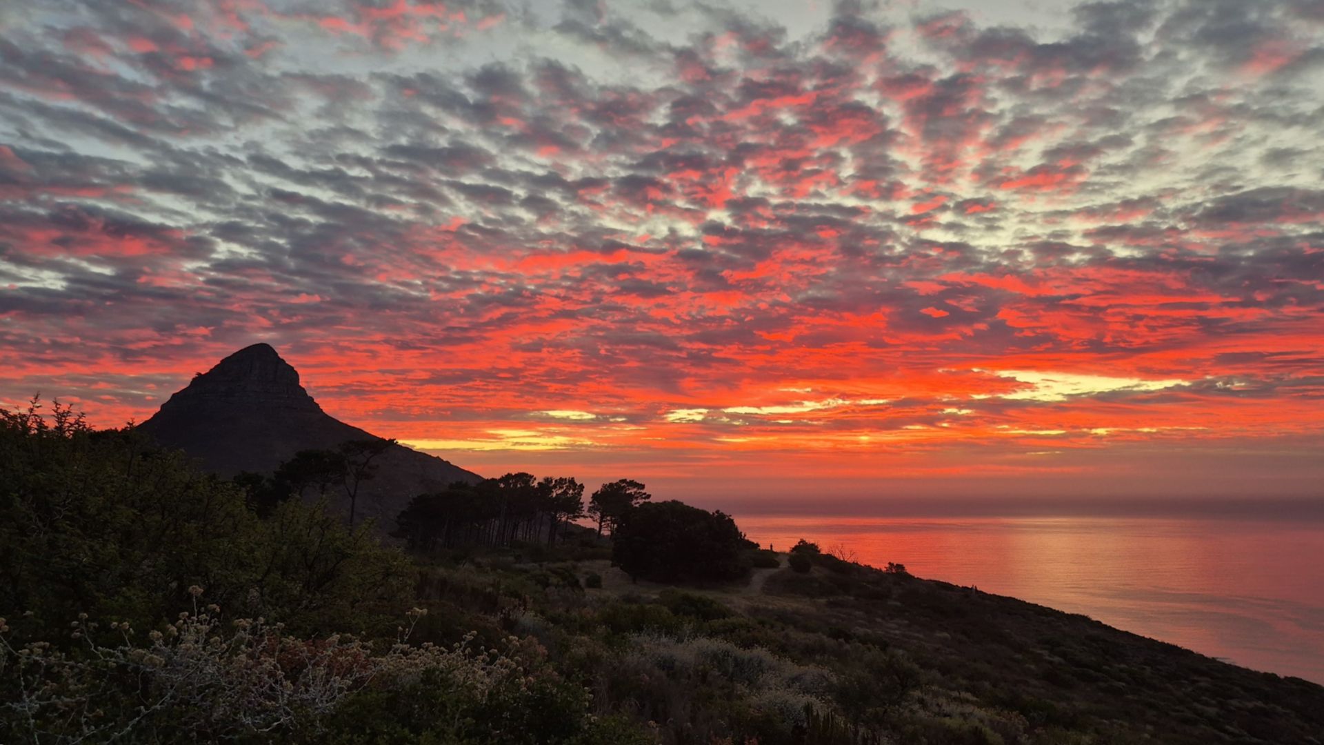 Kapstadts Panorama am Abend vom Signal Hill