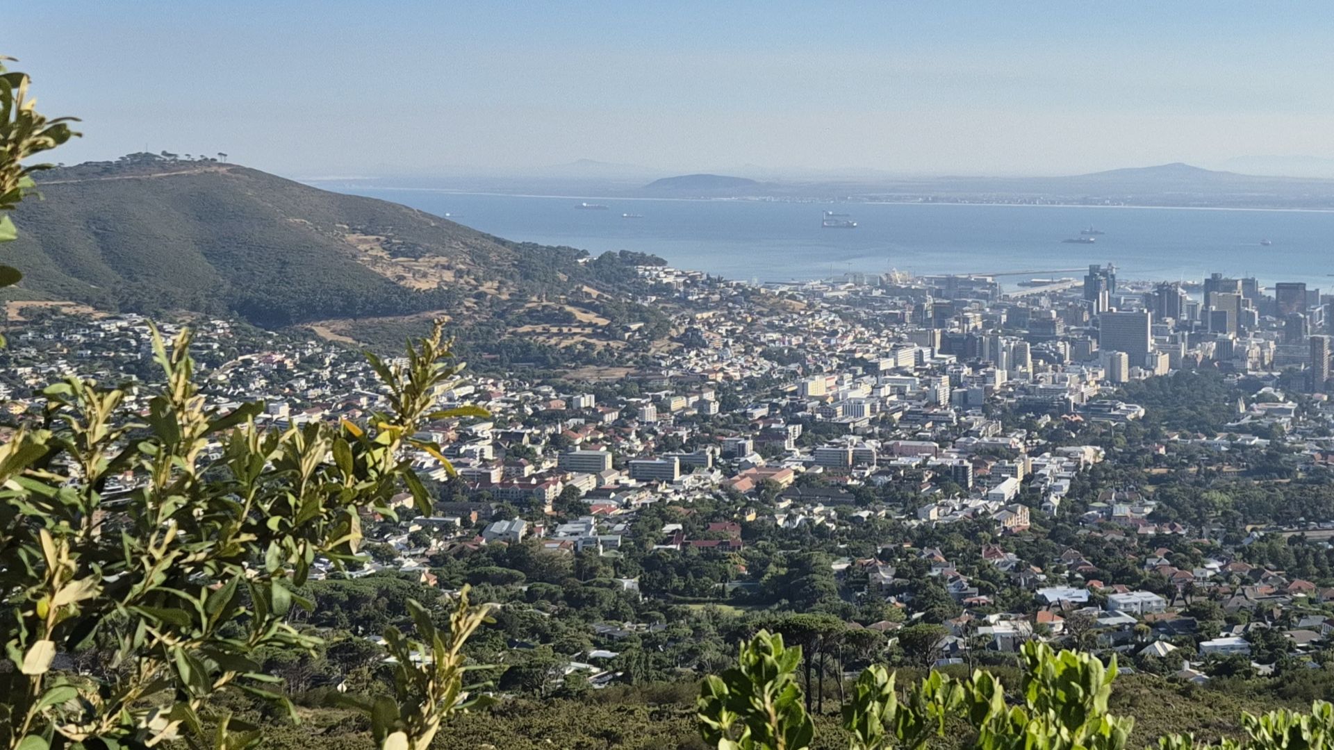CPT
