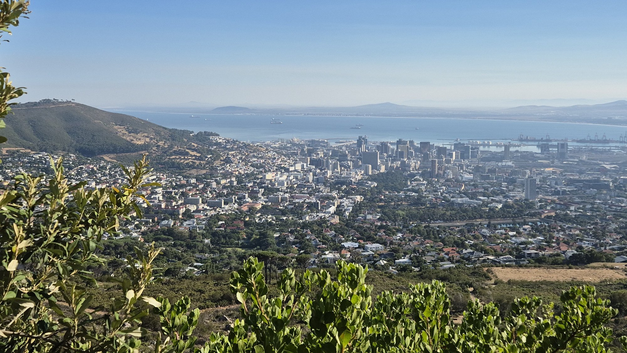 CPT