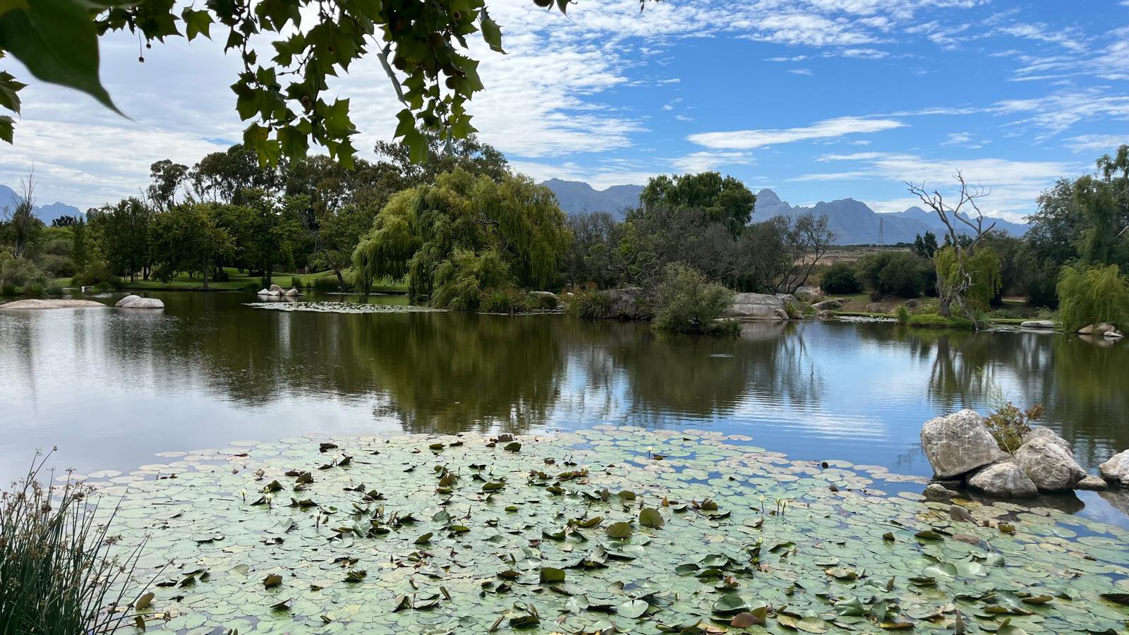 Stellenbosch: Weingut und Schokolade