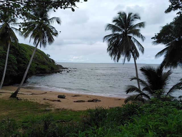 DOR49_Strand_PE_2023_quer.jpg