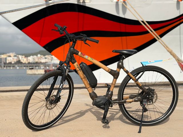 Mit dem E-Bike von Rose individuell unterwegs - Größe L