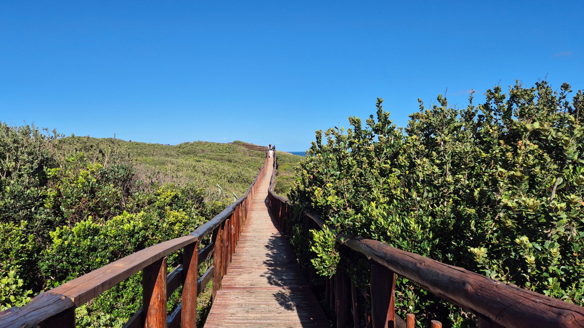 ELS_ELS02_BroadwalkNahoonPoint_2025_ST_quer.jpg