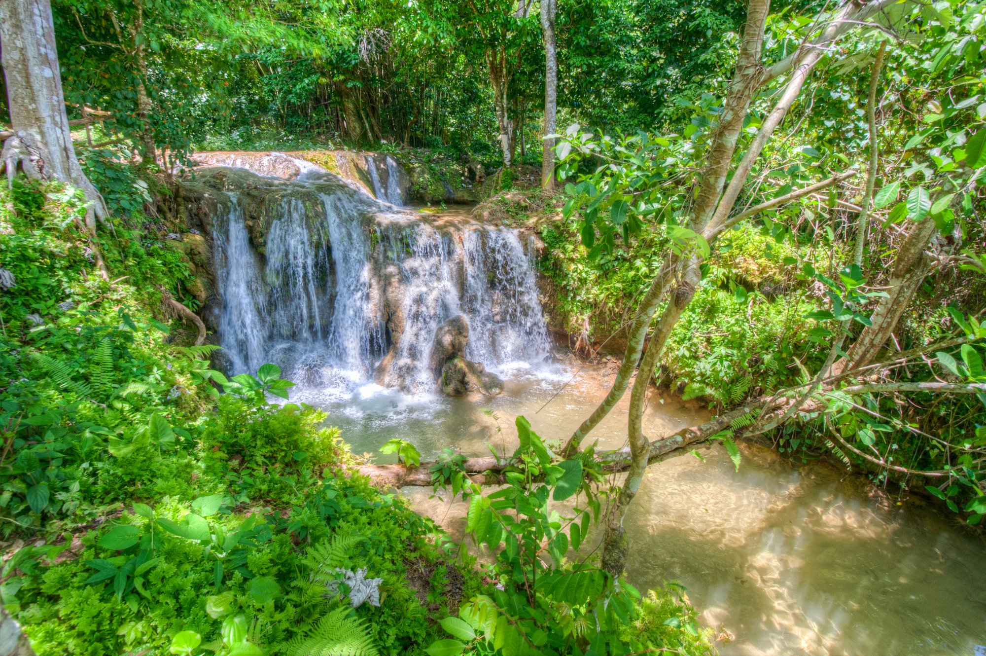 Picture taken in Dominican Republic
