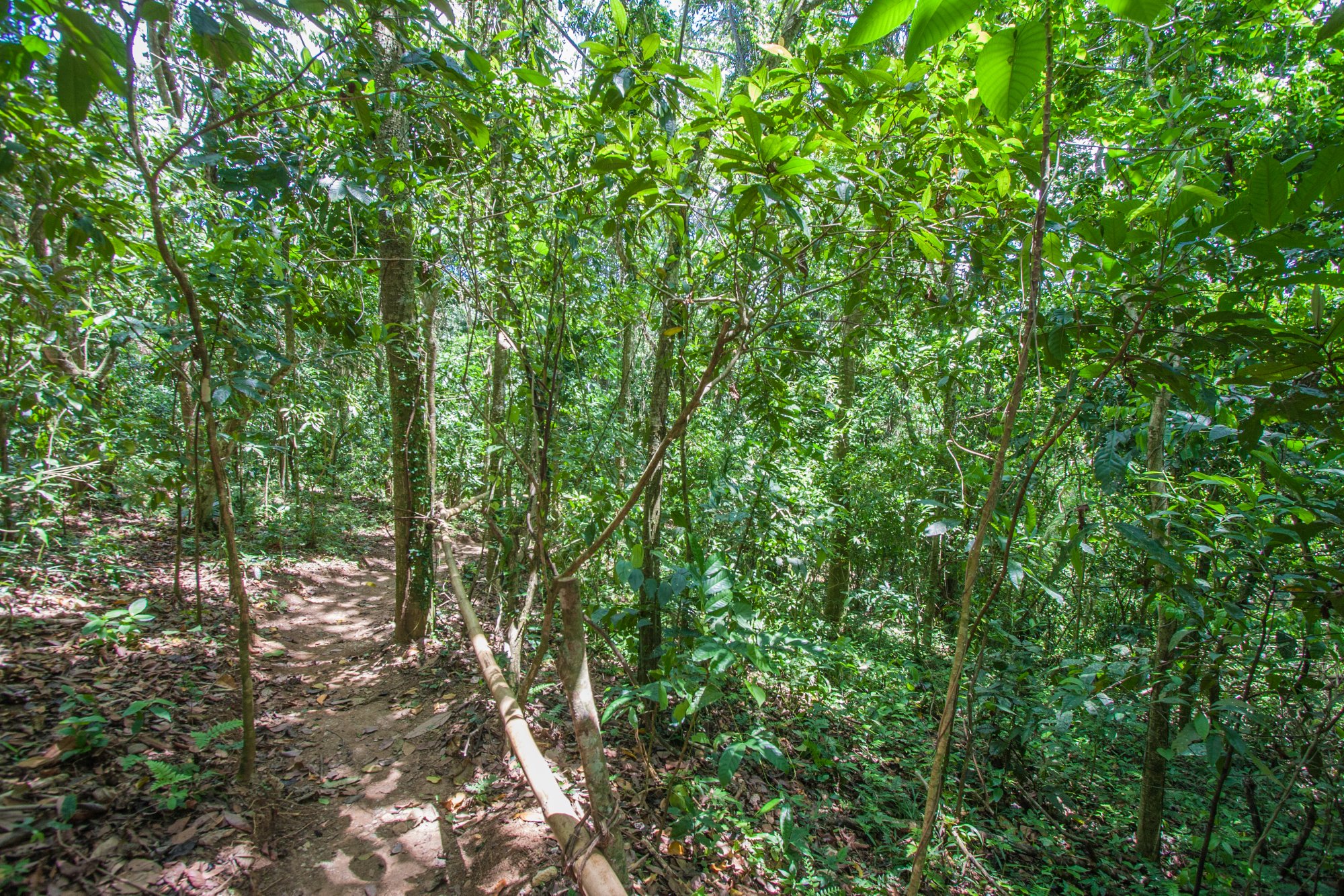 Picture taken in Dominican Republic
