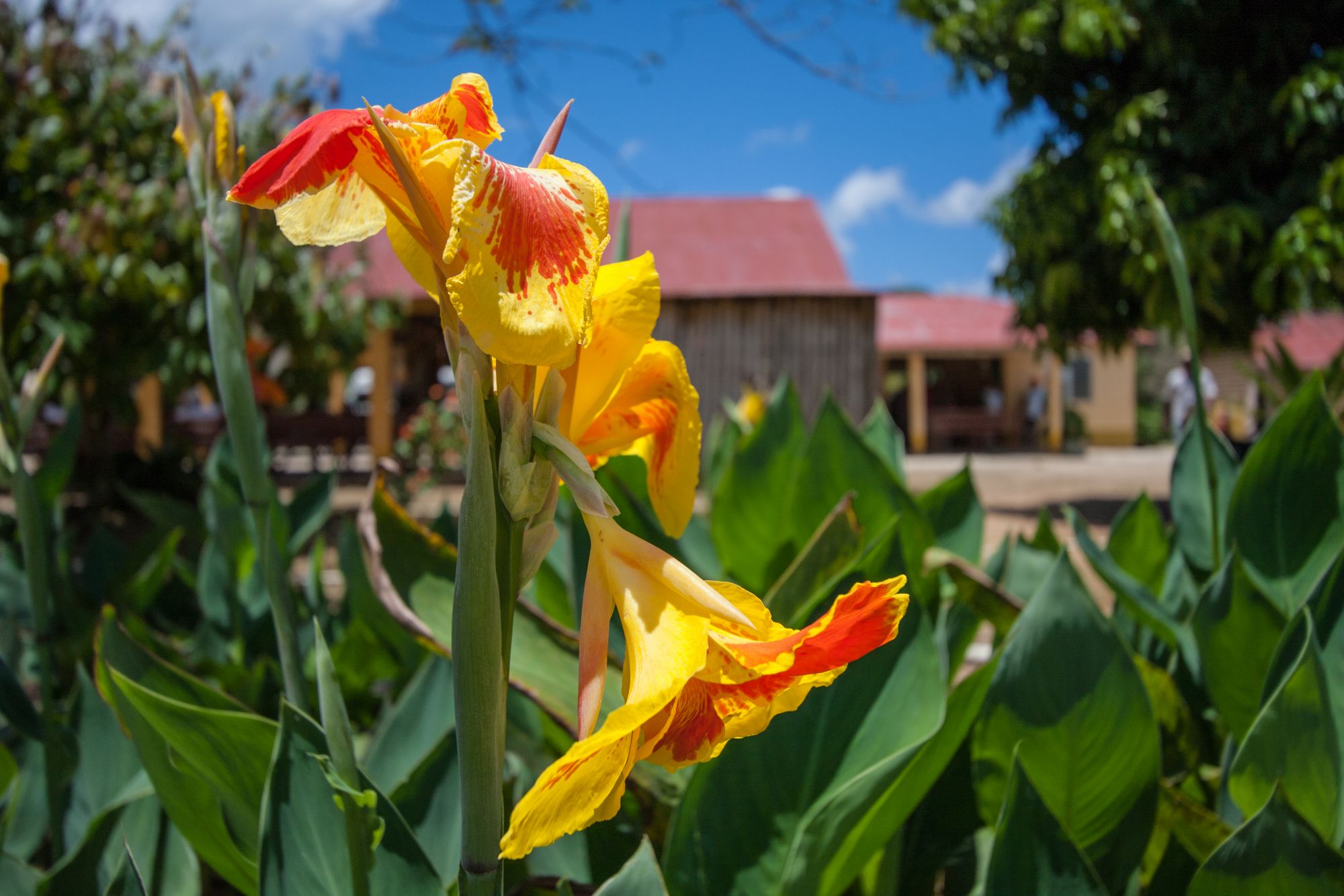 Picture taken in Dominican Republic