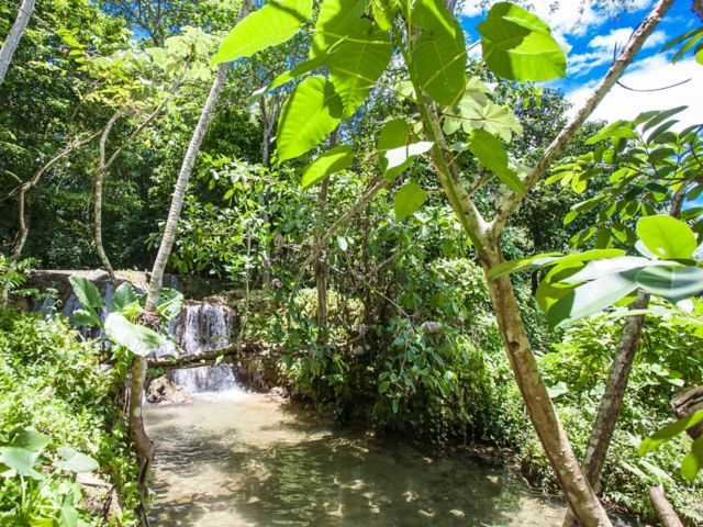 Picture taken in Dominican Republic