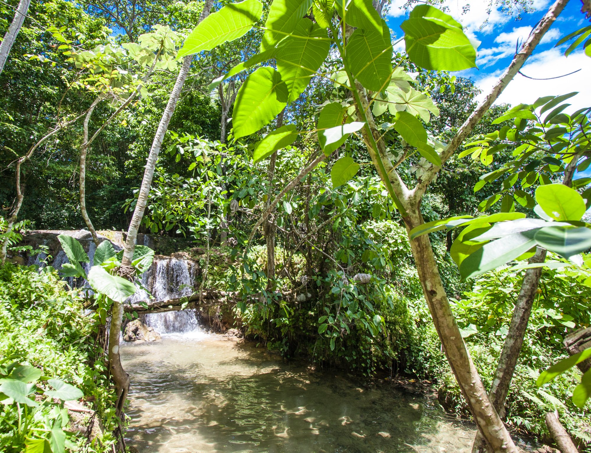 Picture taken in Dominican Republic