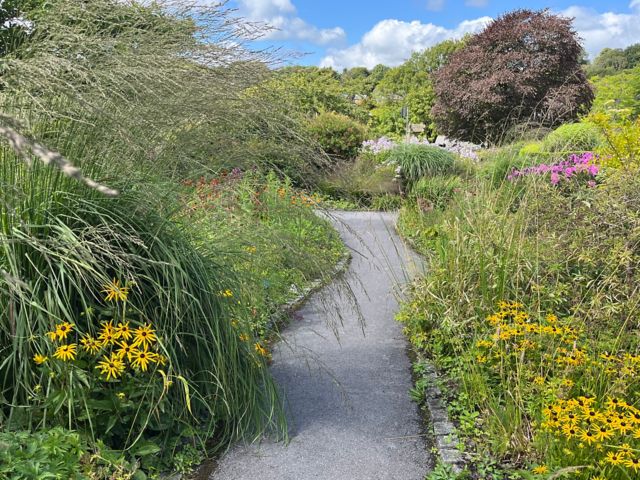 FIS09_BotanischerGarten2_BE_2024_quer_002.JPG