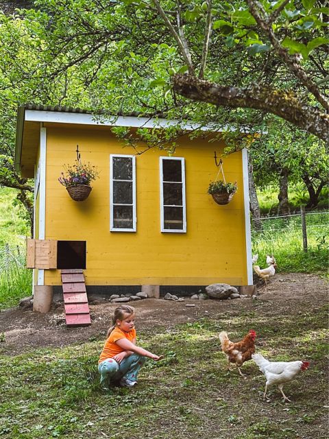 FLA03_TheFjordFarm_NG_2026_hoch2.JPG