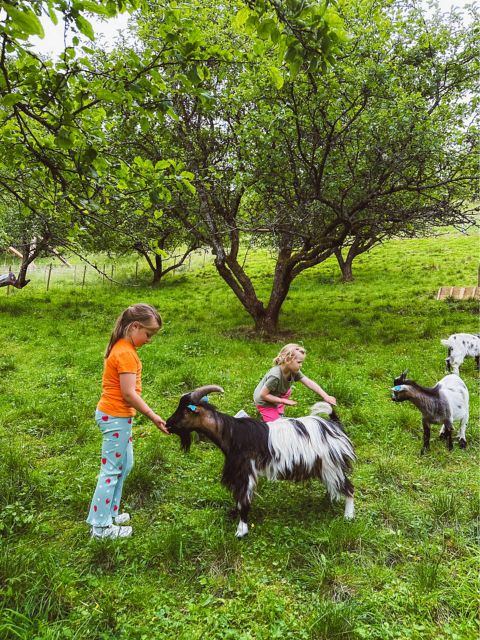 FLA03_TheFjordFarm_NG_2026_hoch4.JPG