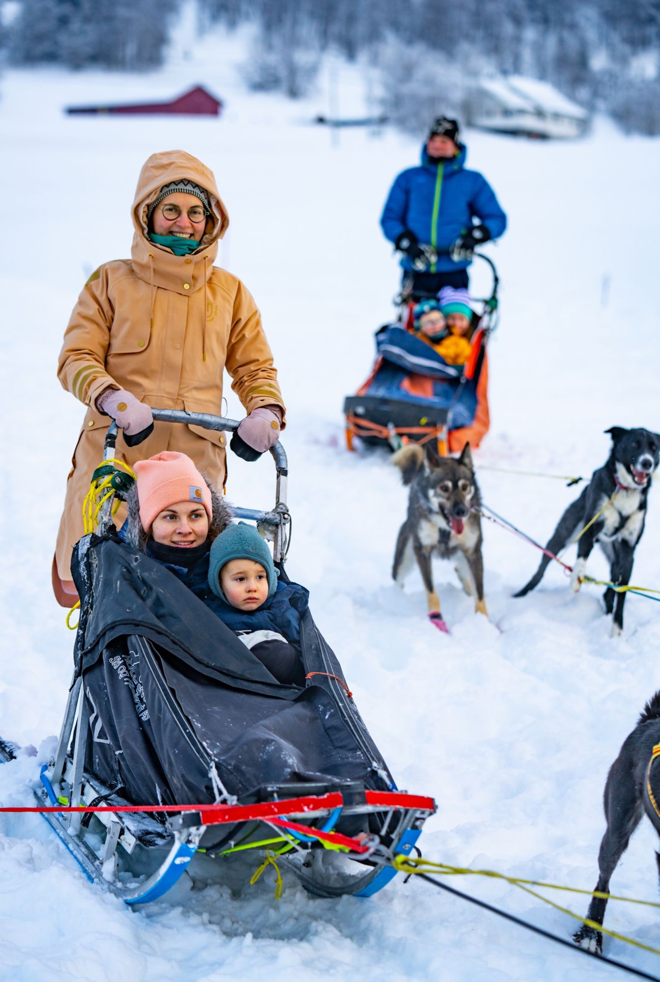 Husky-Schlittenabenteuer in der Winterlandschaft Norwegens