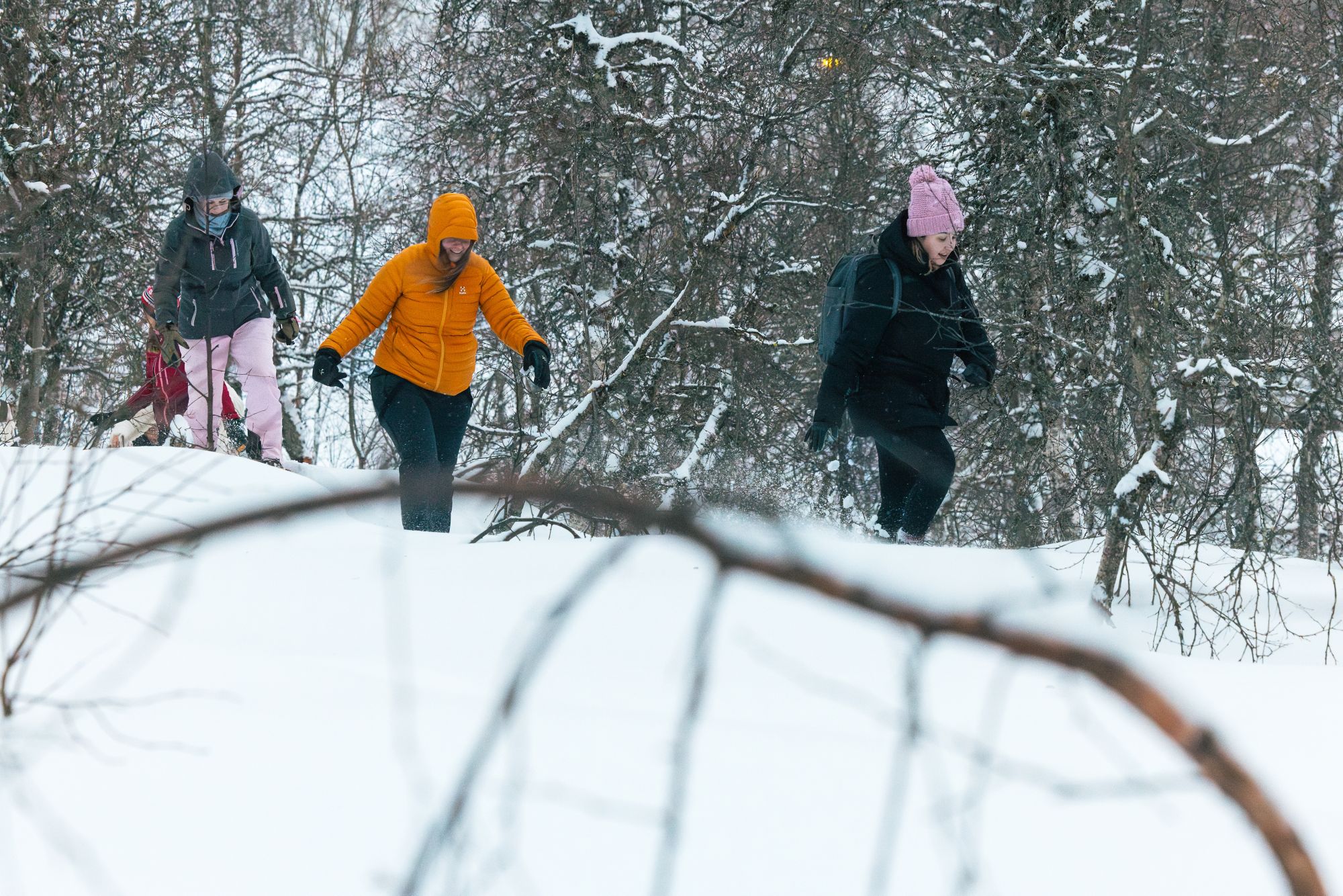Schneeschuhwanderung zum Lavvu in Myrkdalen