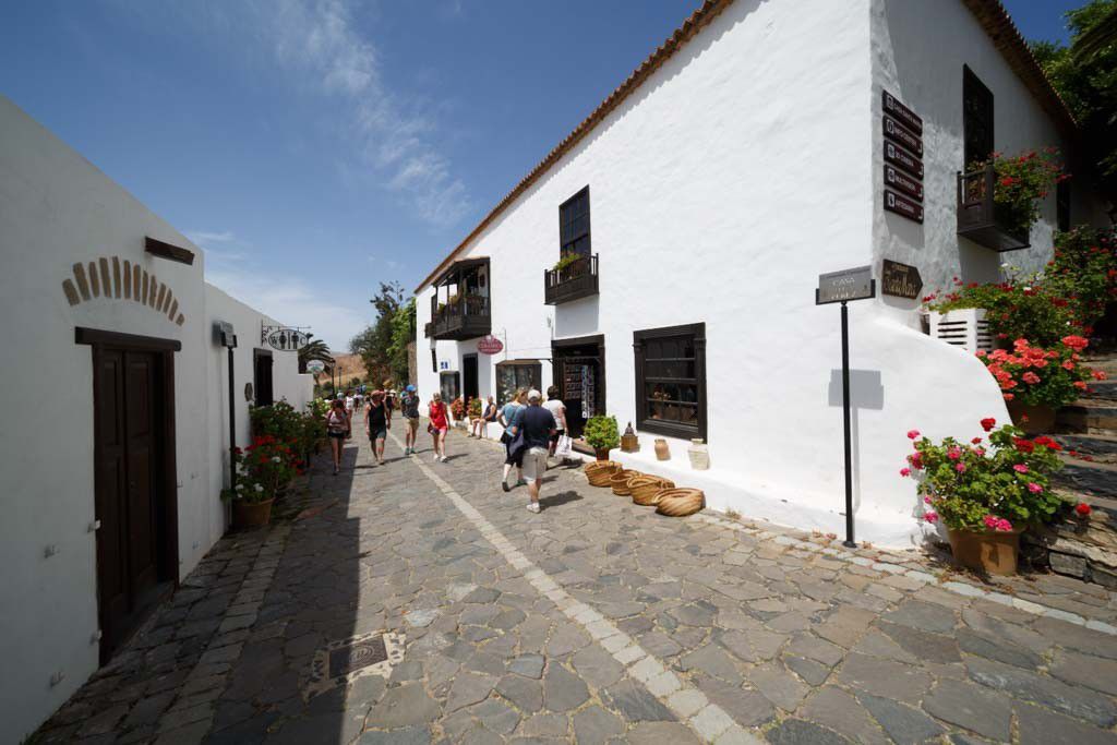 FUE15_Betancuria_Intercruises_2025_quer_005.jpg
