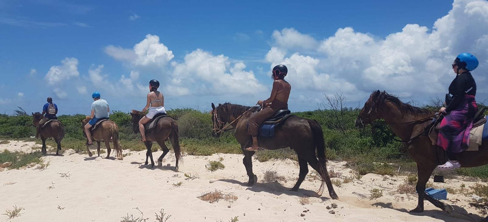 GDT04_GrandTurk_HorseRiding2_2026_quer.jpg