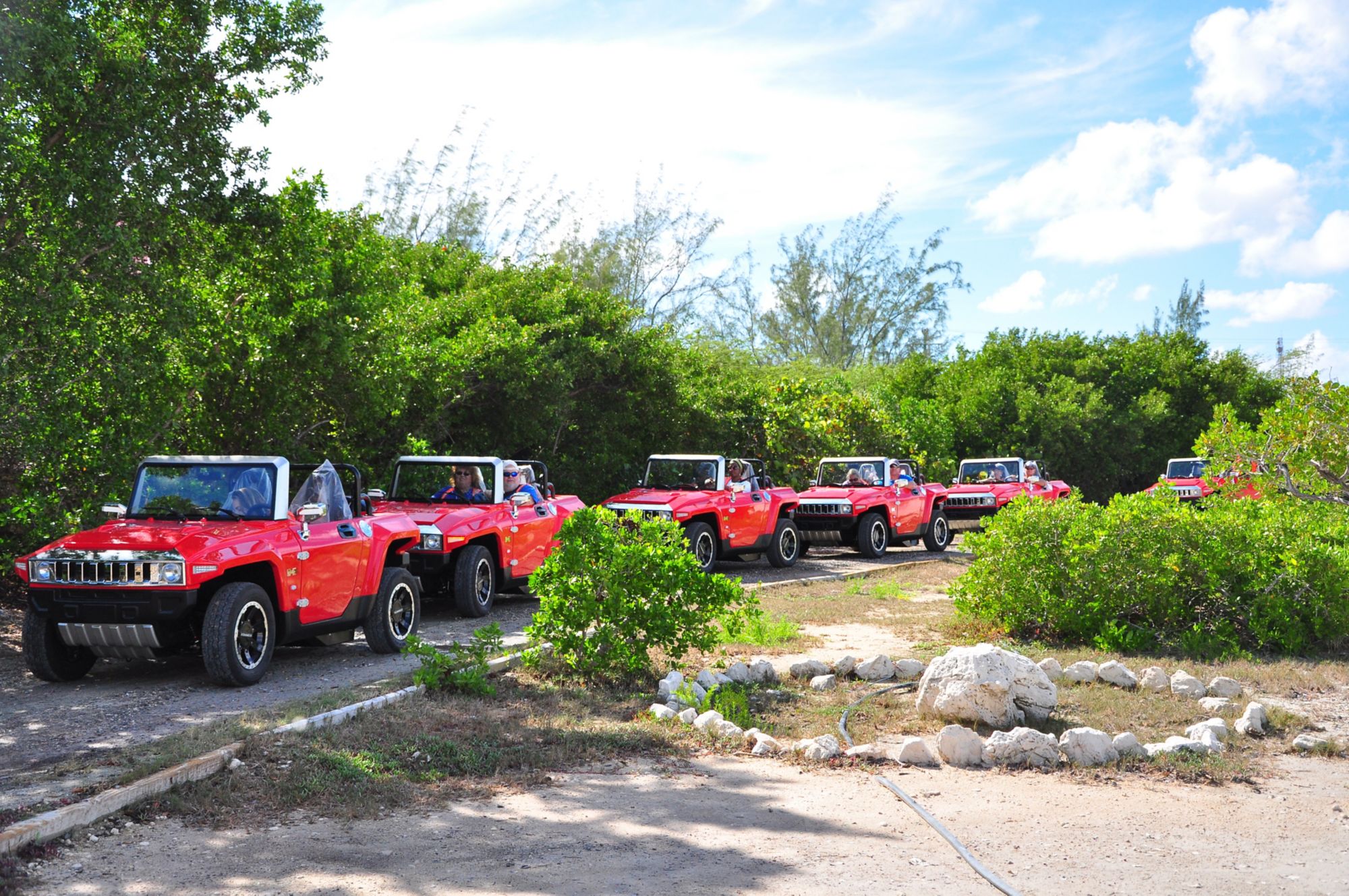 GDT11_Hummer_Naturreservat_CircleofLife_FuntasticToursCompany_2015_quer.JPG