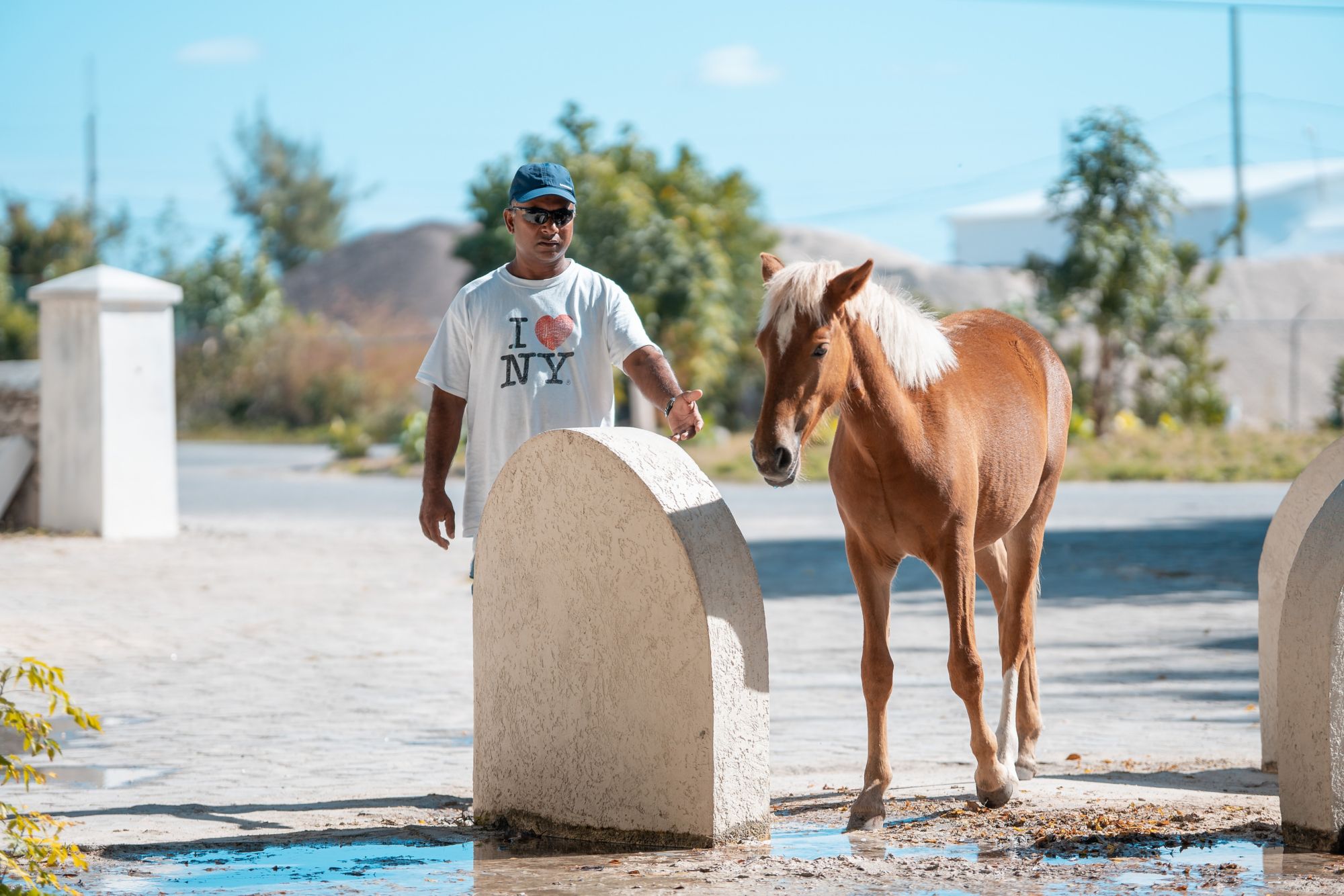 GDT11_Pferd_Mensch_2019_FuntasticTours_Company_quer.jpg
