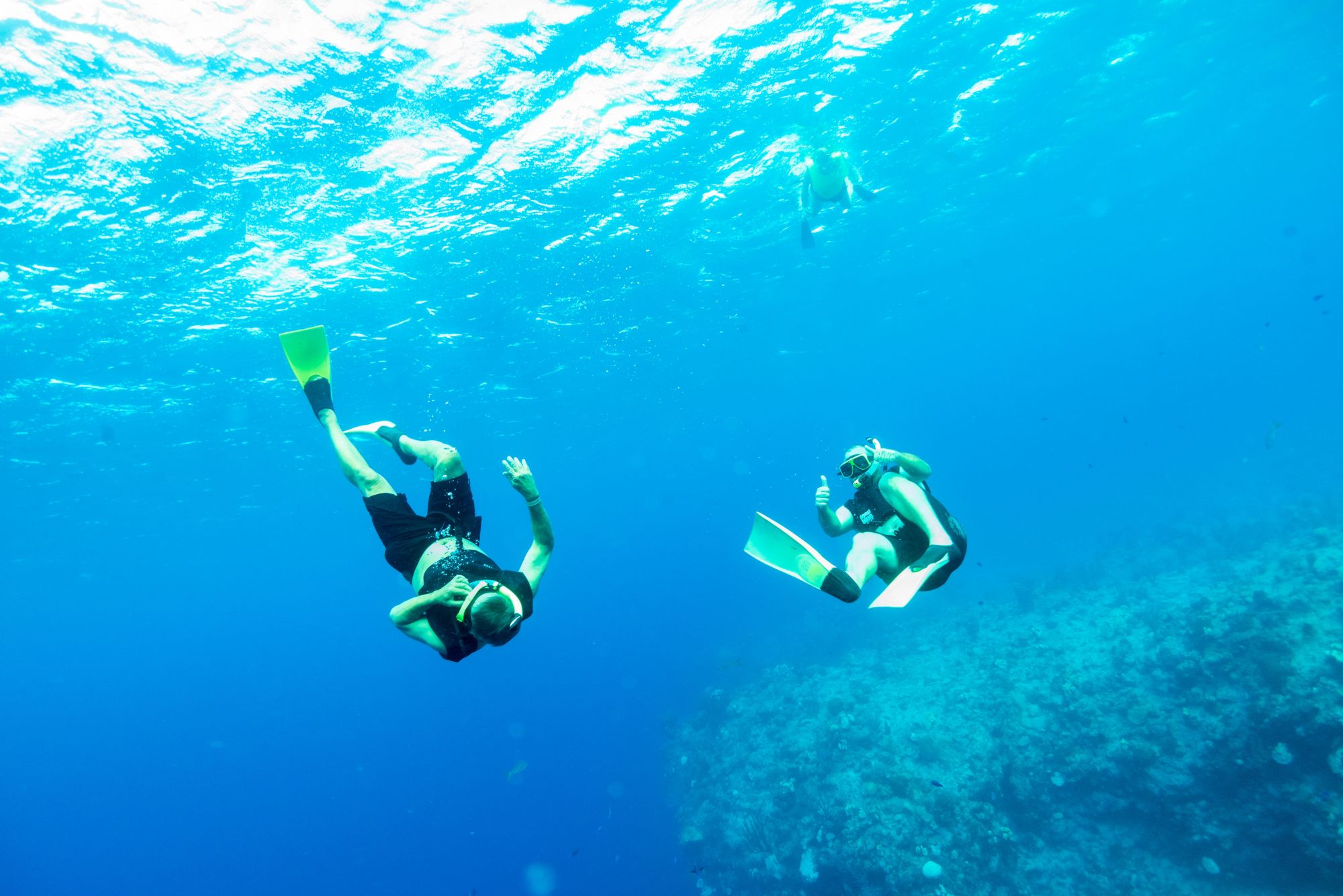 Schnorchelerlebnis auf Grand Turk