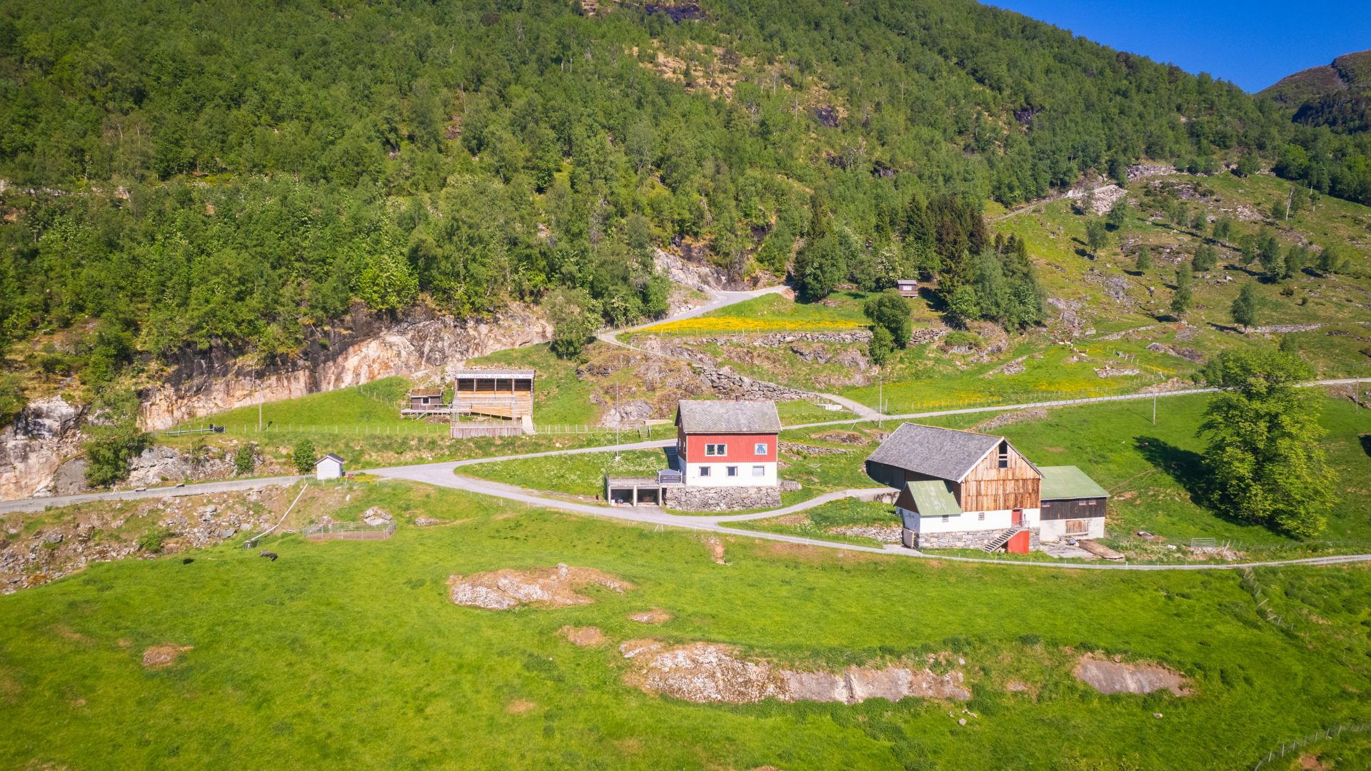 GEI10_Bonseye-LjenAmfi_NG_2026_quer3.jpg