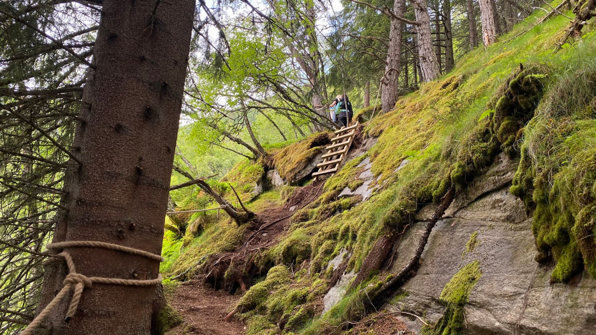 GEI19_Wanderweg2_PR_2025_quer_001.jpg